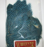 ������� ����� ������� Guinea Fowl Breast Speckled dyed Silver Dr. Blue  WHITING 